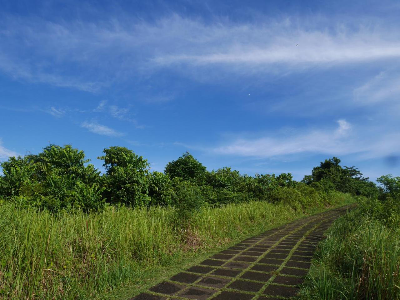 Sari Villa Ubud Dış mekan fotoğraf